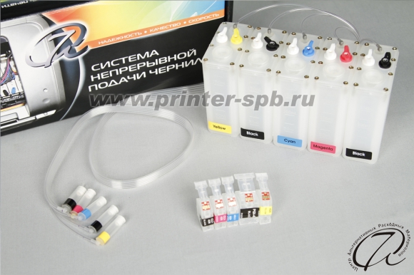 ���� ������ �������-������� ����������