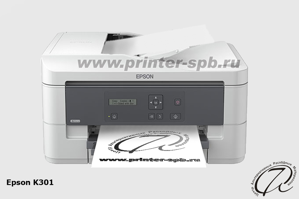 Epson K301