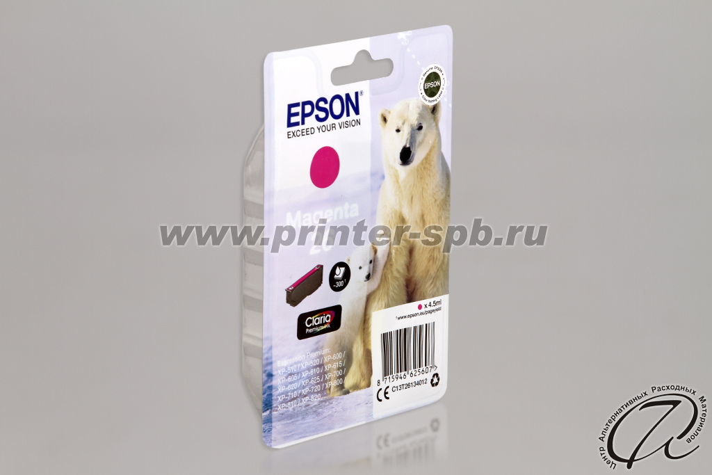 Картридж Epson C13T26134010