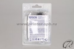 Картридж Epson C13T26134010