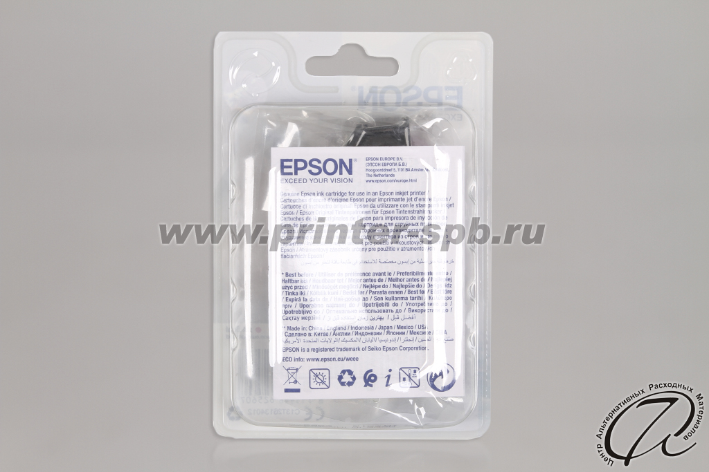 Картридж Epson C13T26134010