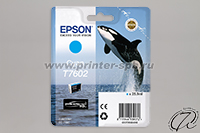 Картридж Epson T7602